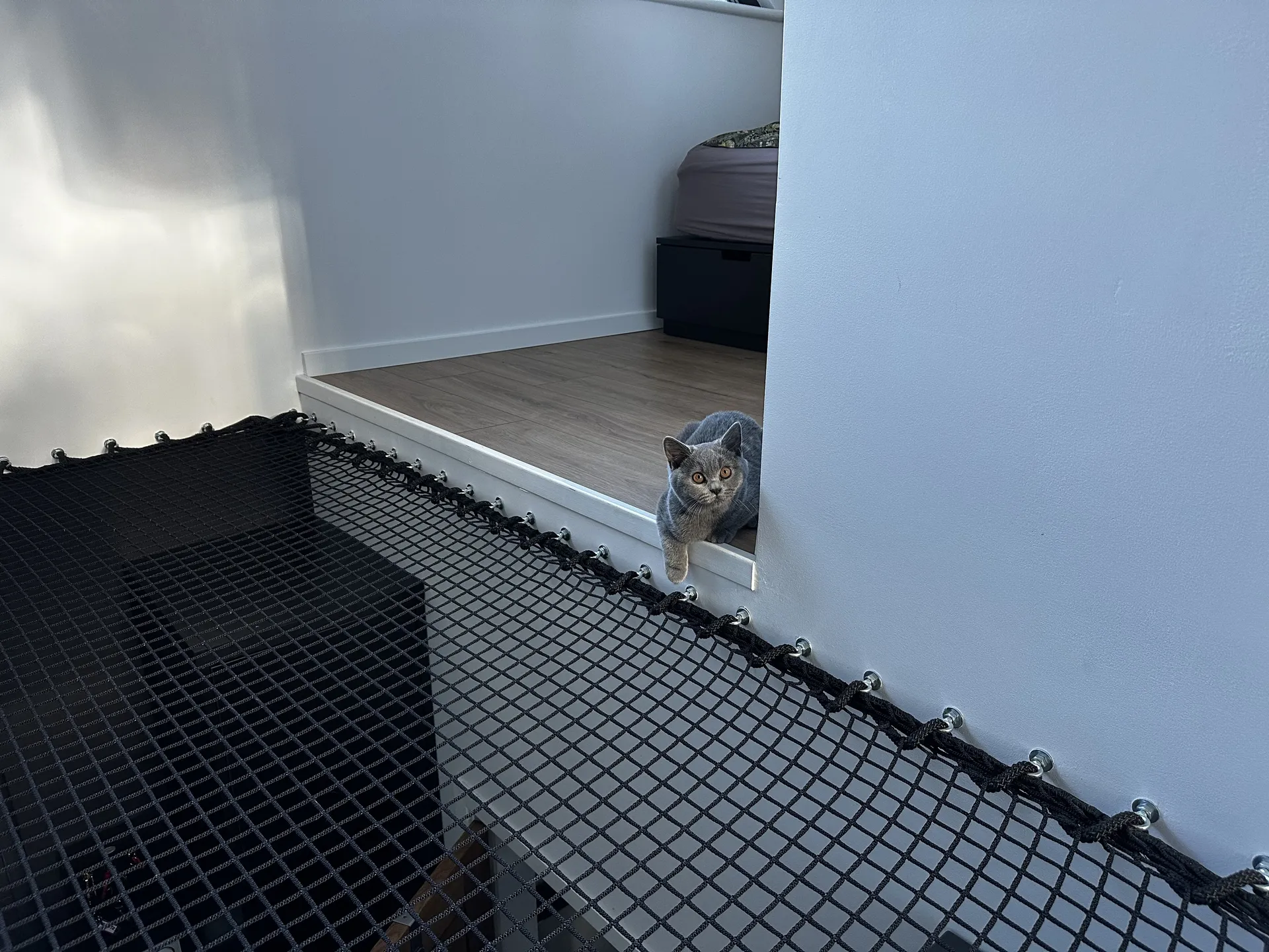 Cabin interior, photo 6